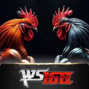 ws168 - fullbet138