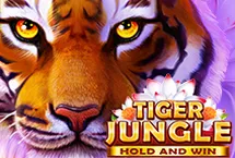 RTP quickspin fullbet138
